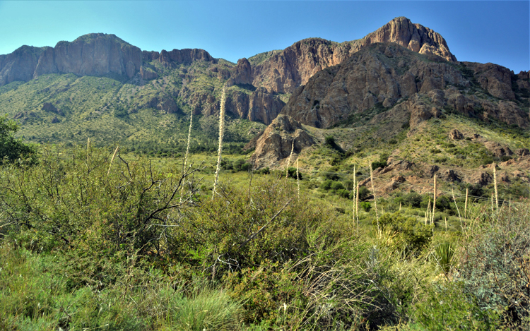 Chisos Mountains